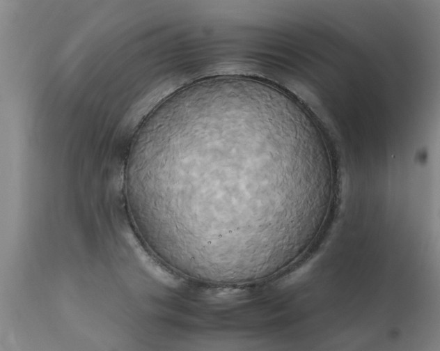 X0000110970841200907022242