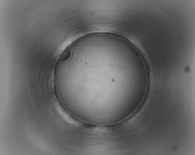 X0000110970842200907022242