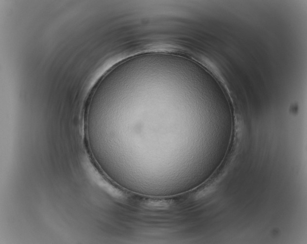 X0000110970843200907022243