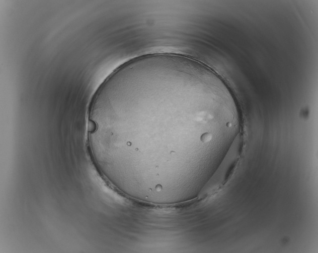 X0000110970844200907022243