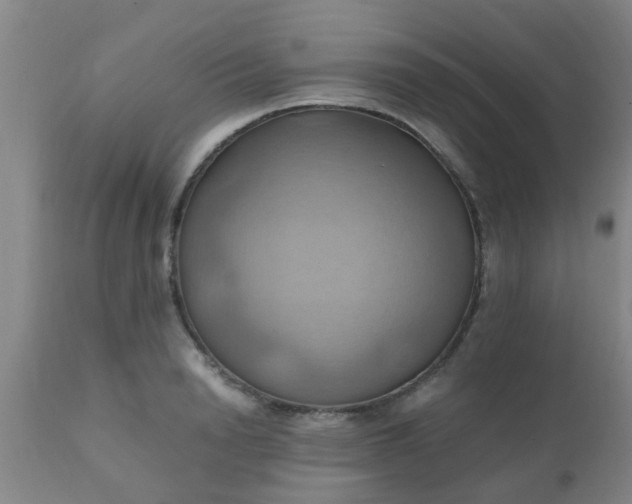 X0000110970846200907022243