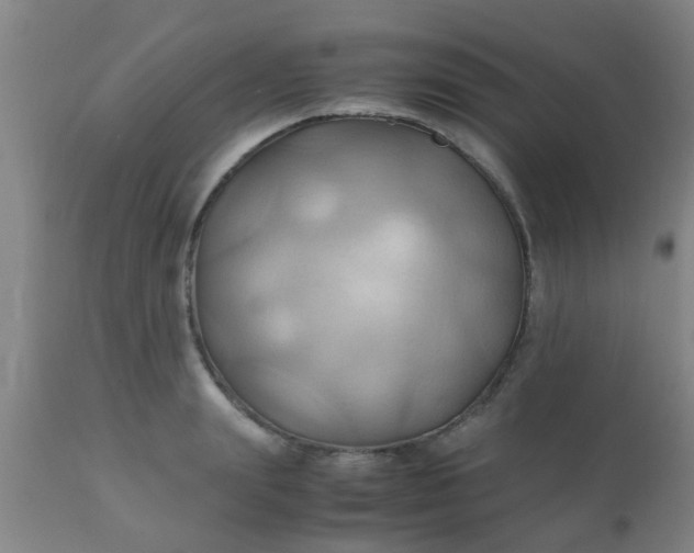 X0000110970847200907022243