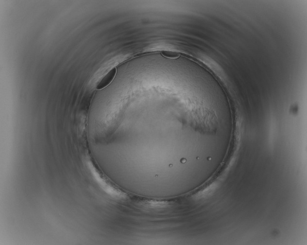 X0000110970849200907022243