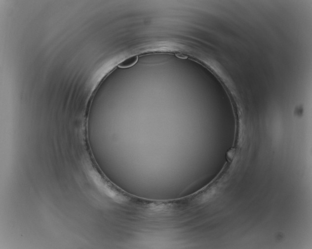 X0000110970850200907022243