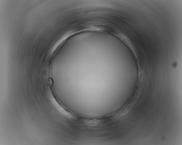 X0000110970851200907022243