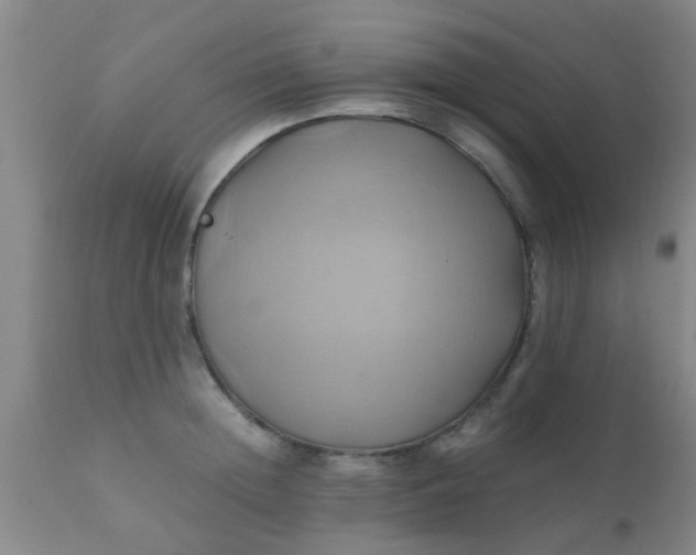 X0000110970852200907022243