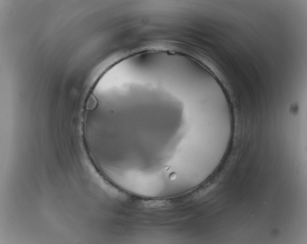 X0000110970853200907022243