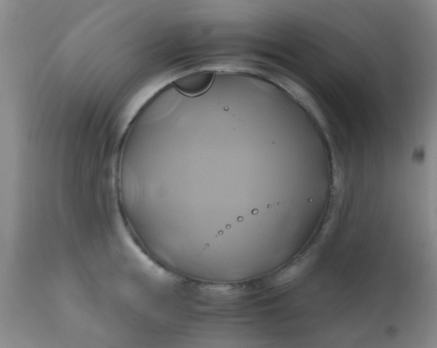 X0000110970855200907022243