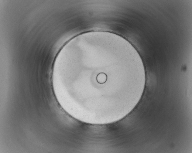 X0000110970856200907022243