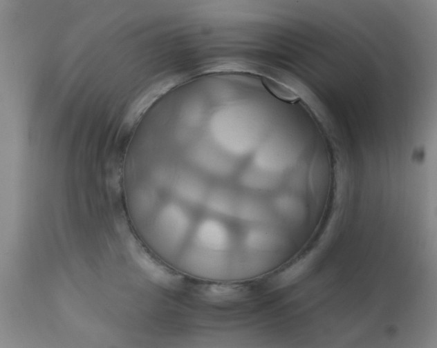 X0000110970857200907022243