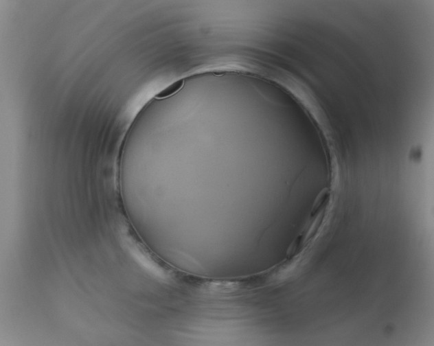 X0000110970858200907022243