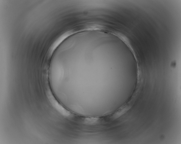 X0000110970859200907022243