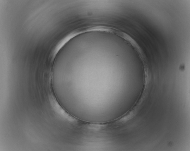 X0000110970860200907022243