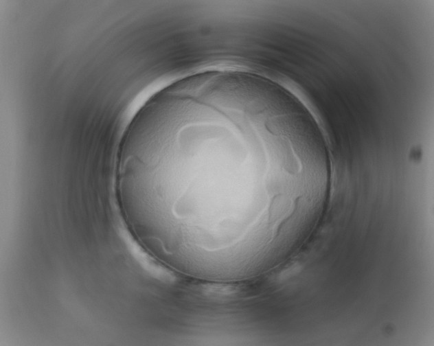 X0000110970861200907022243