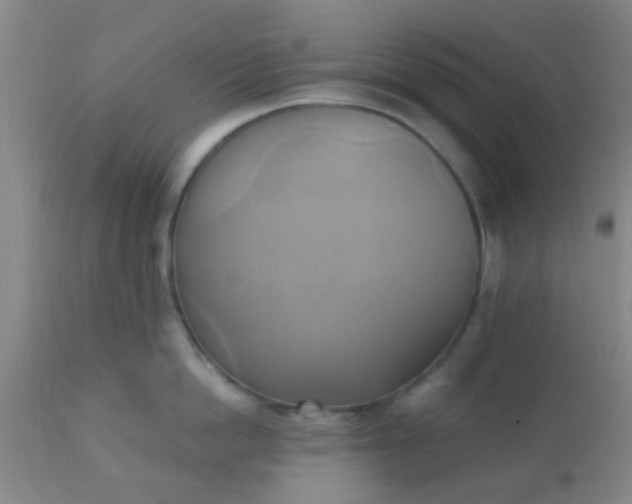 X0000110970862200907022243