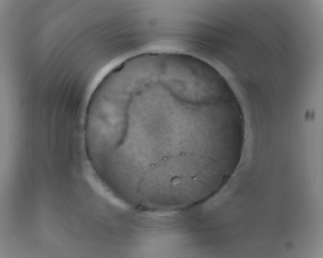 X0000110970864200907022243