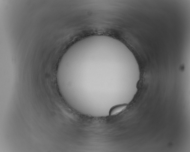 X0000110970865200907022242