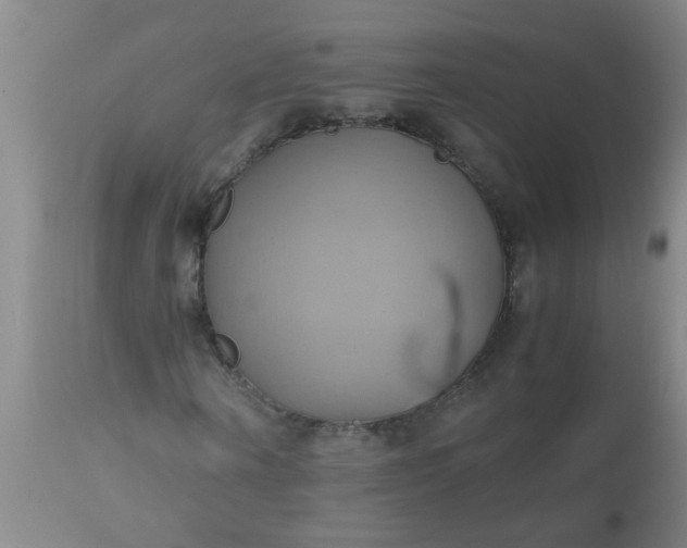 X0000110970866200907022242