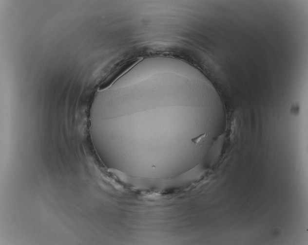 X0000110970868200907022242