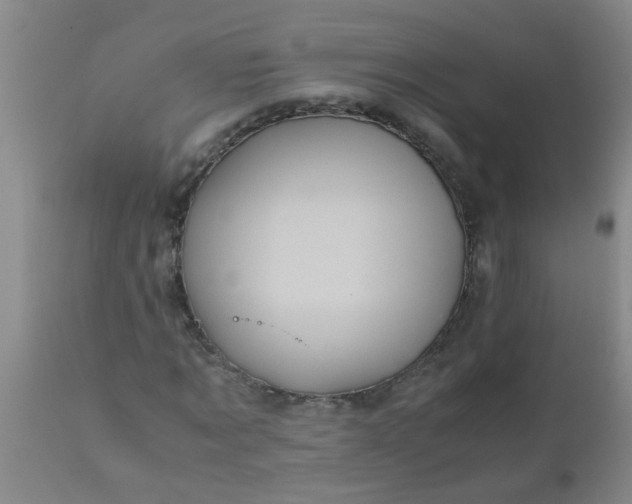 X0000110970869200907022242