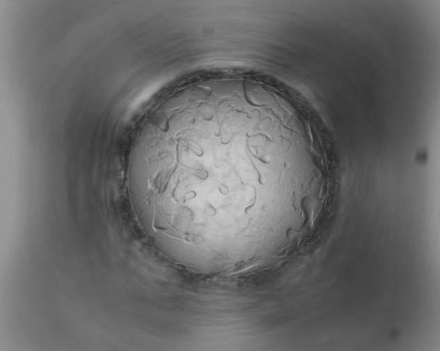 X0000110970871200907022242