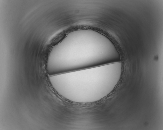 X0000110970872200907022242