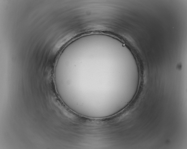 X0000110970873200907022242