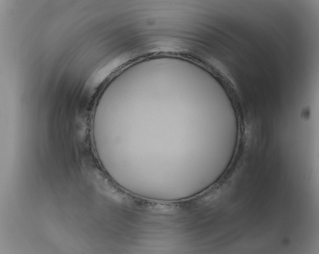 X0000110970874200907022242