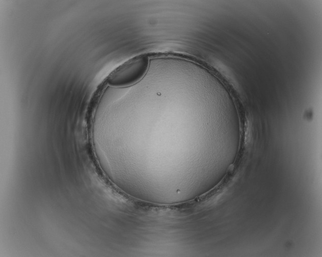 X0000110970876200907022242