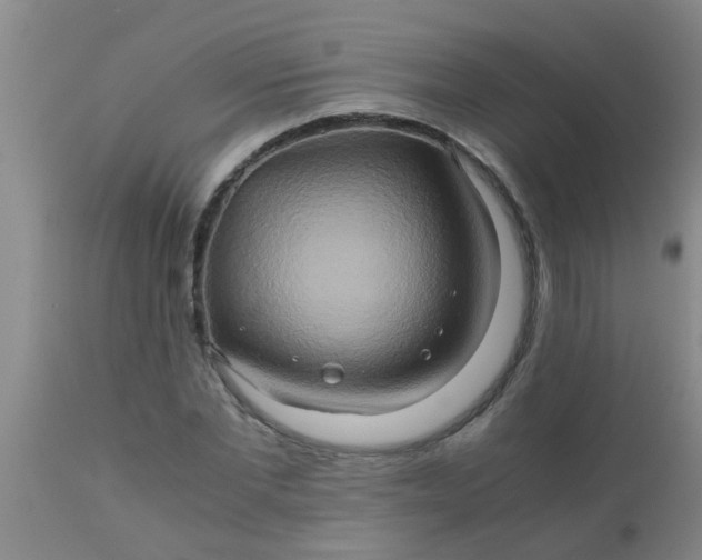 X0000110970877200907022242