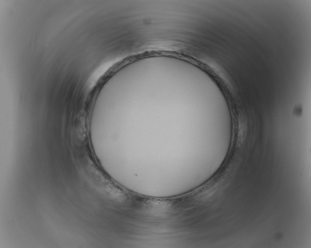 X0000110970878200907022242