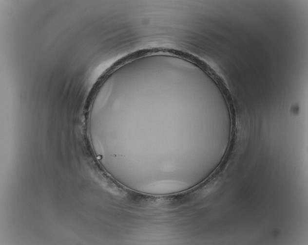 X0000110970879200907022242