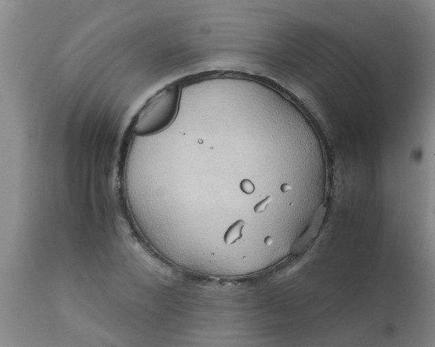 X0000110970880200907022242