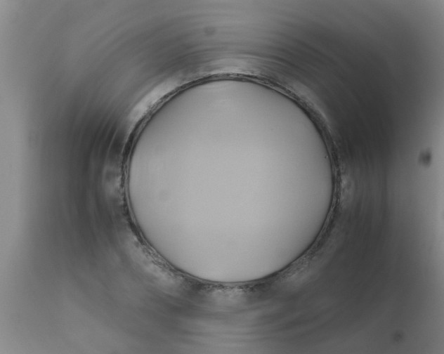 X0000110970882200907022242