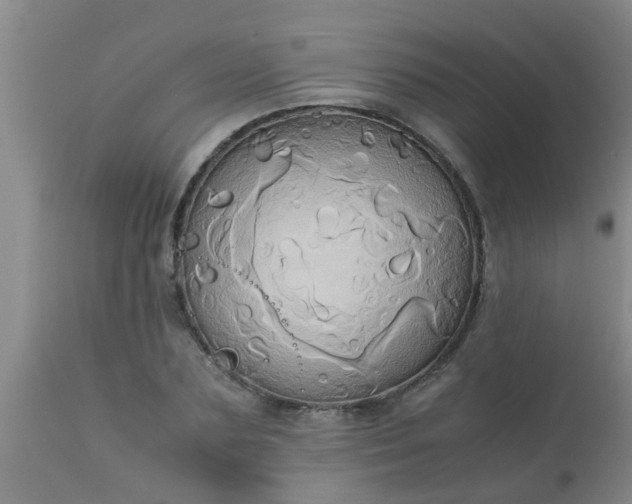 X0000110970883200907022242