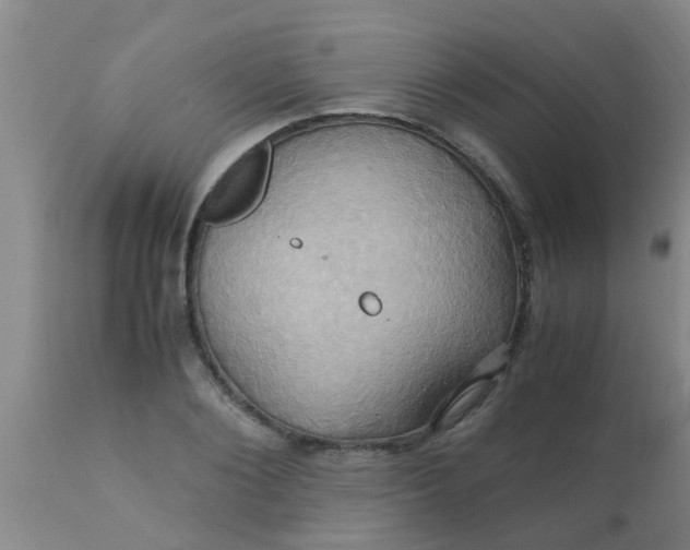 X0000110970884200907022242