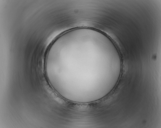 X0000110970886200907022242