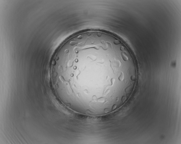 X0000110970887200907022242