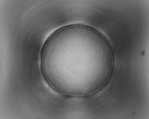 X0000110970888200907022242