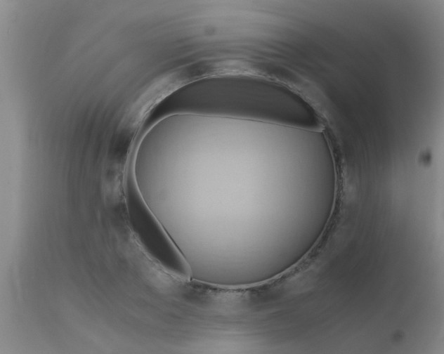 X0000110970889200907022242