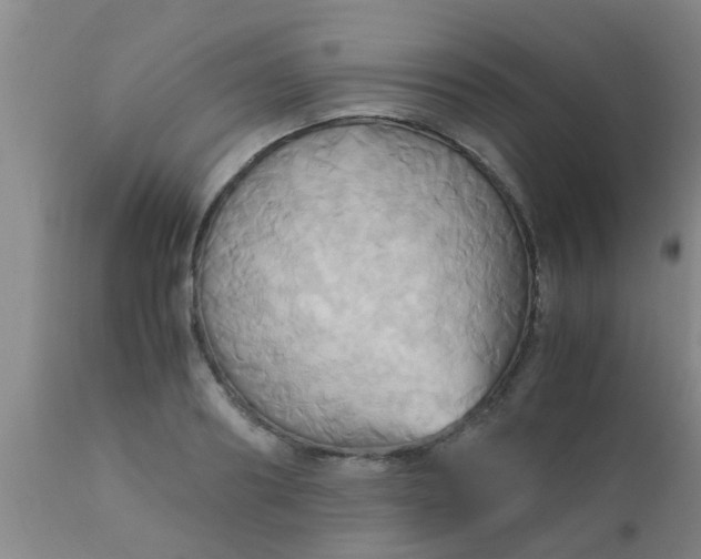 X0000110970890200907022242