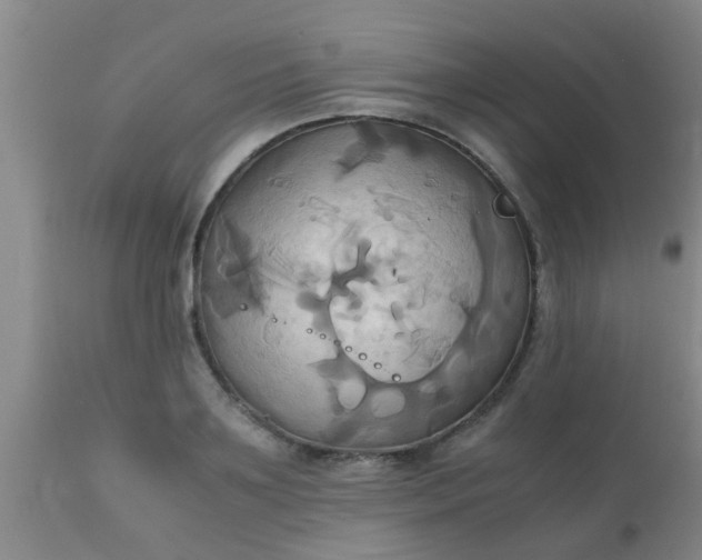 X0000110970891200907022242