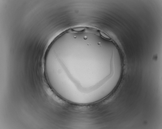 X0000110970892200907022242