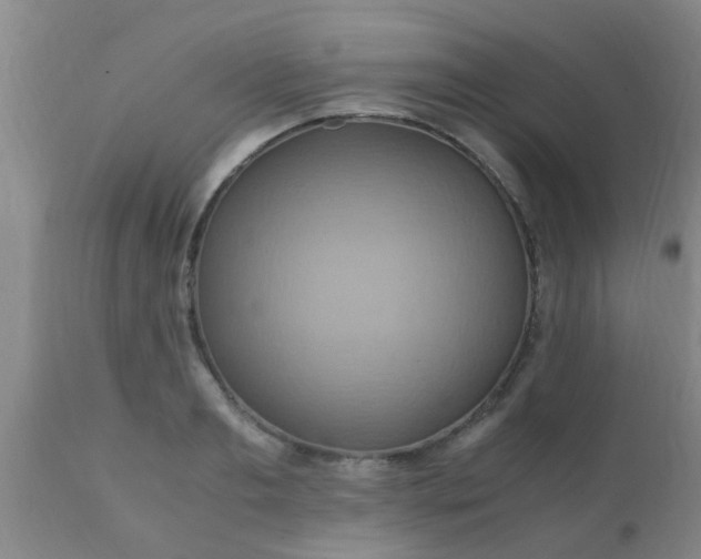 X0000110970893200907022242