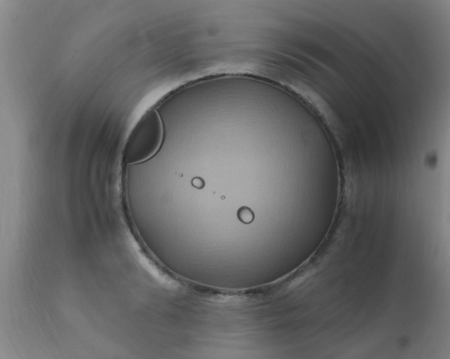 X0000110970894200907022242