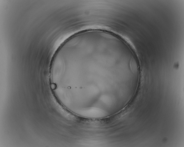 X0000110970895200907022242