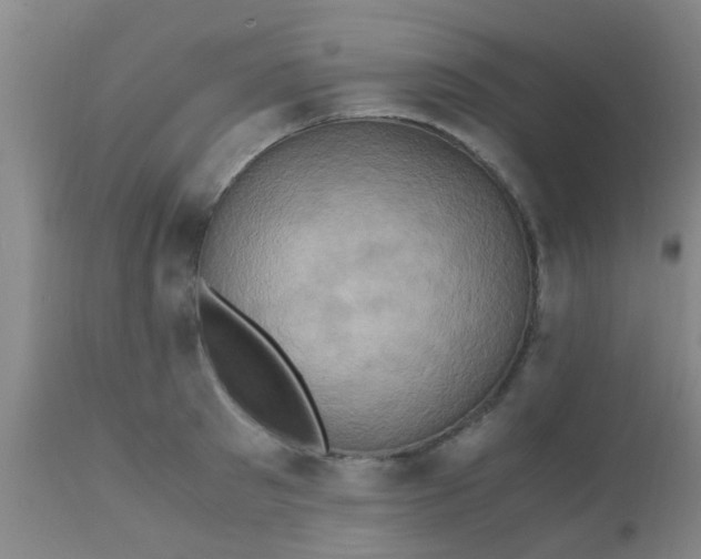 X0000110970897200907022242