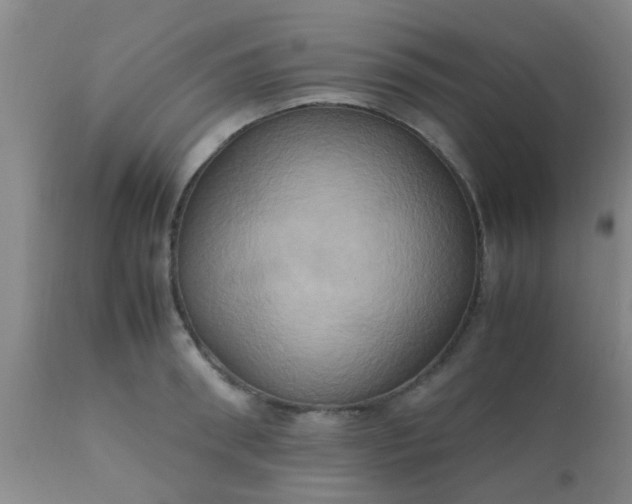 X0000110970898200907022242