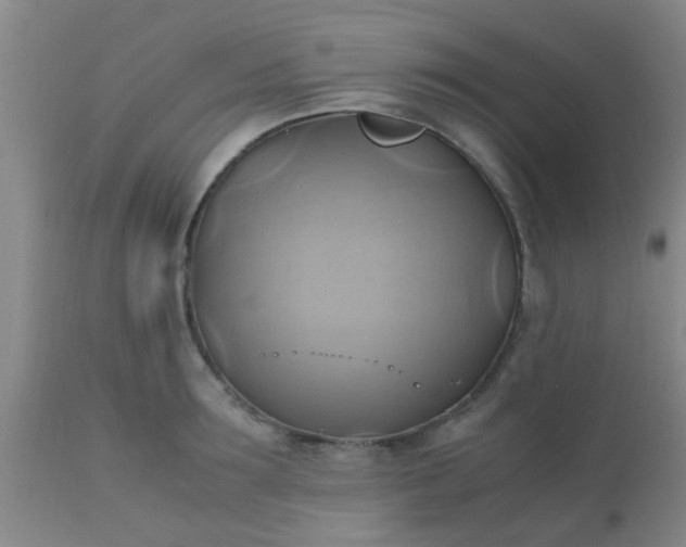 X0000110970899200907022242