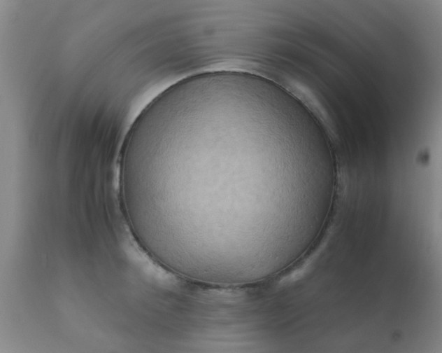 X0000110970900200907022242